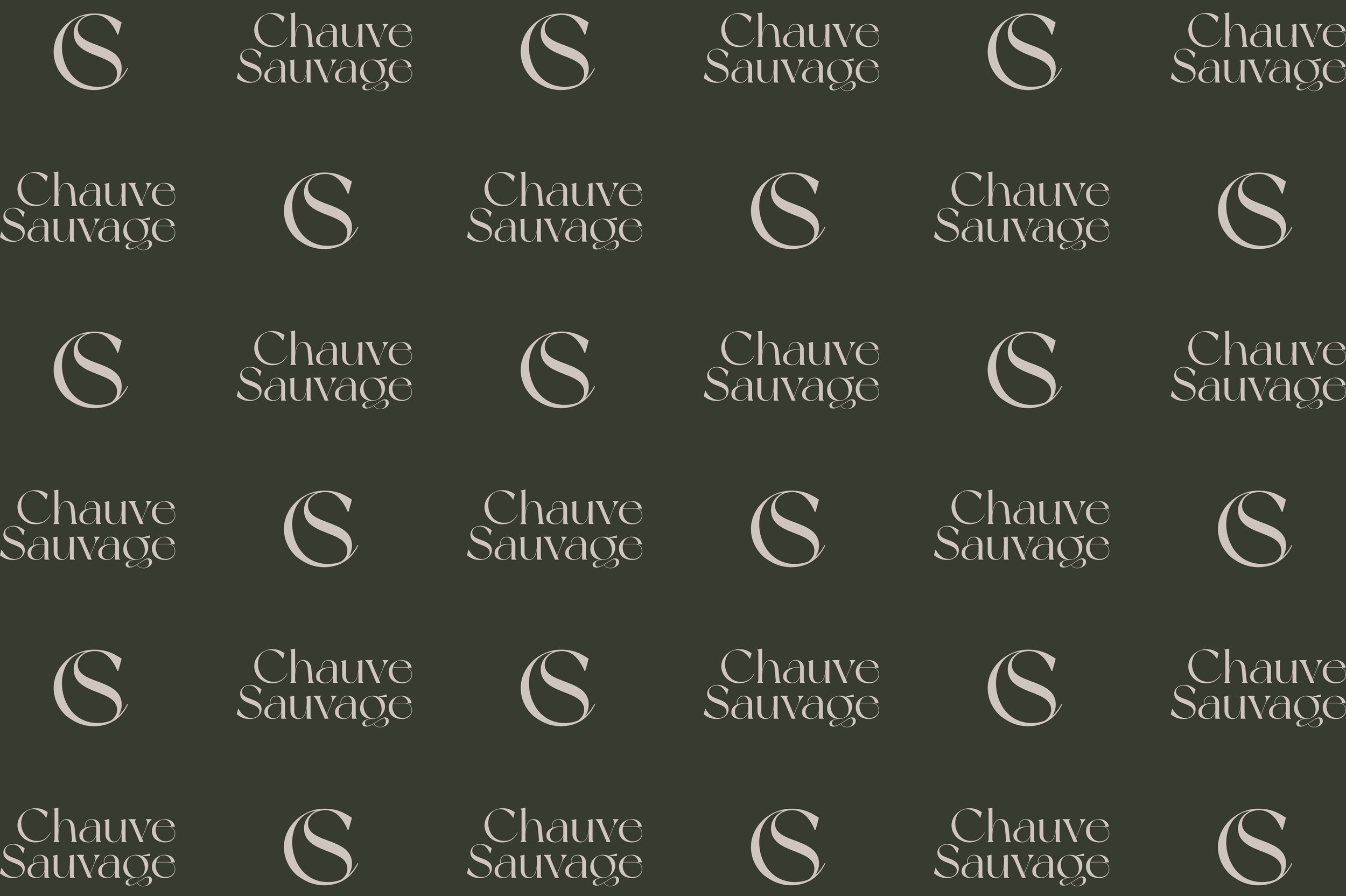 Chauve Sauvage10.jpg