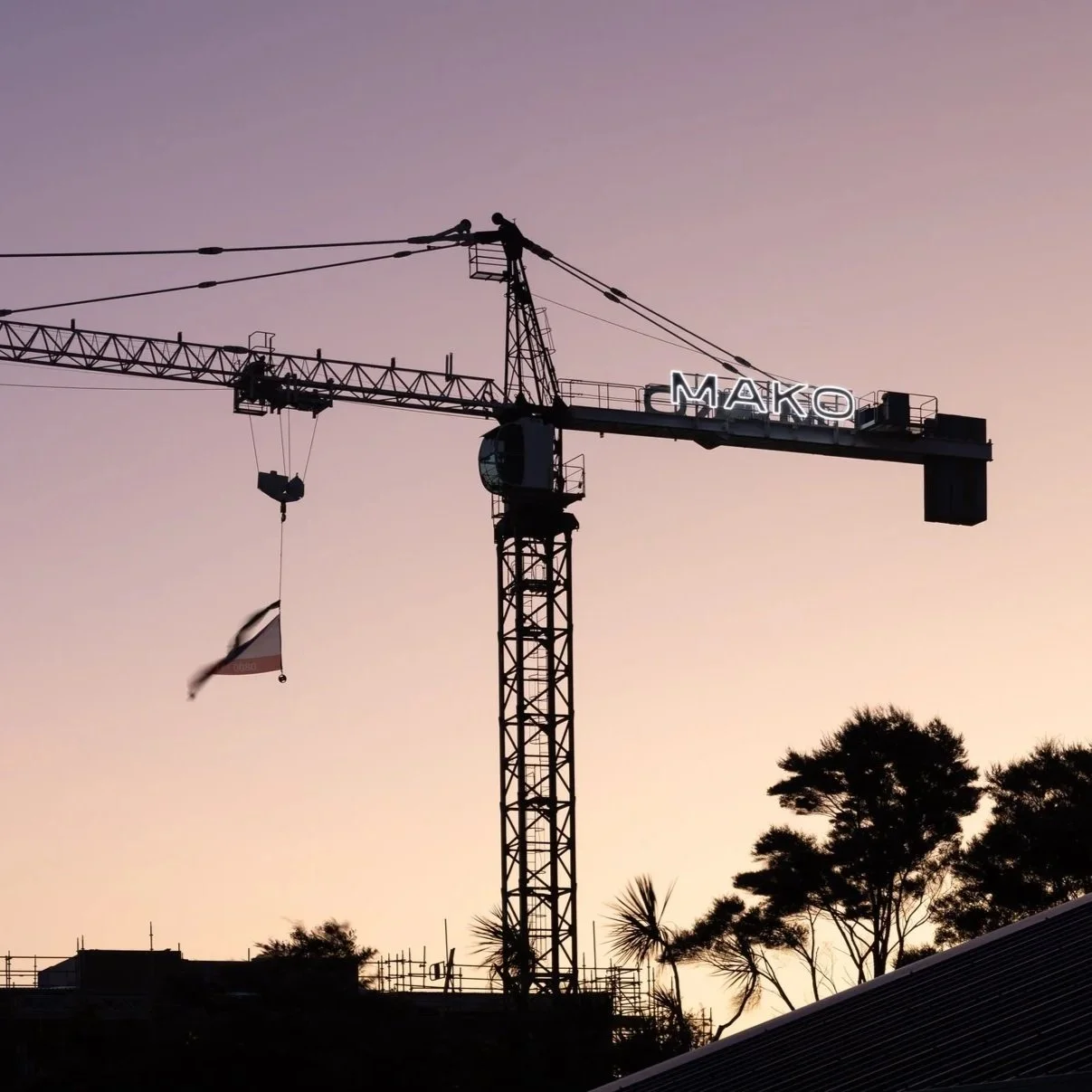 MAKO Commercial, Crane at The Botanic site