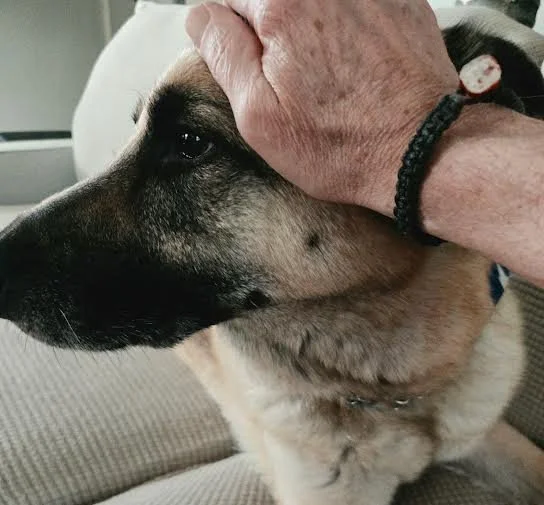 bracelet.jpg