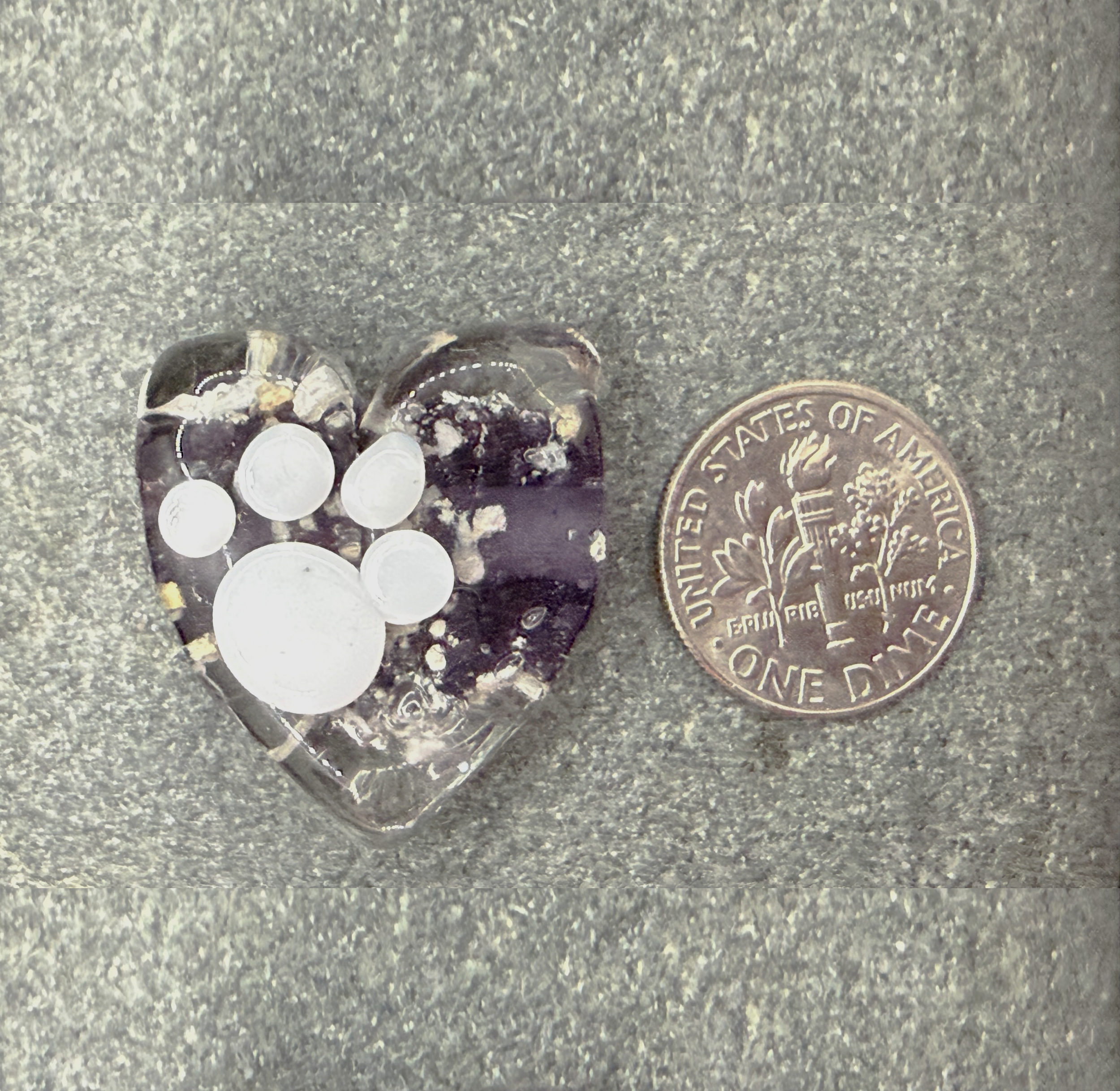 Paw Print sizing.png