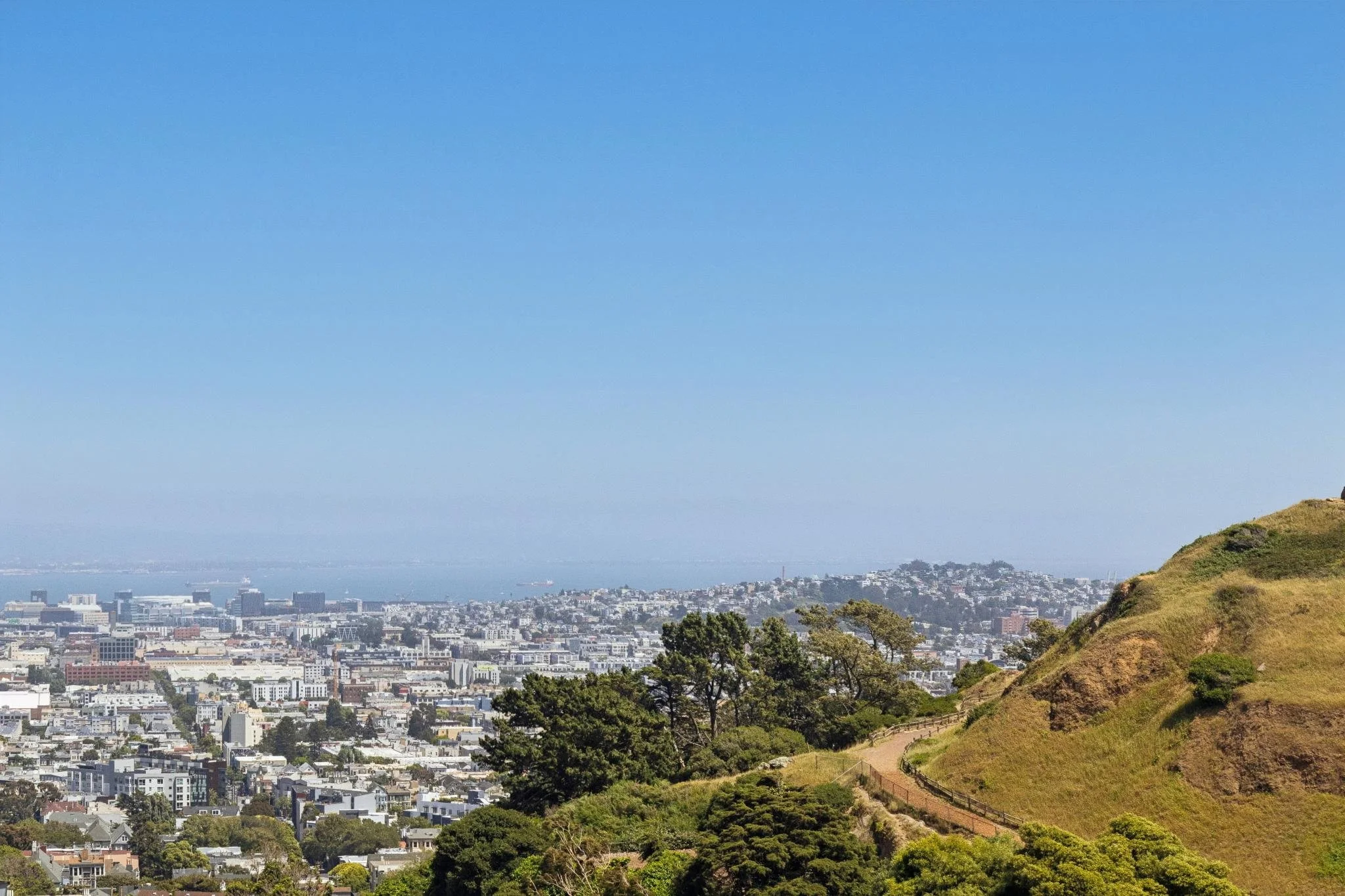 A panoramic view of San Francisco from a hillside, showcasing a cityscape with buildings, trees, and water in the distance under a clear blue sky.