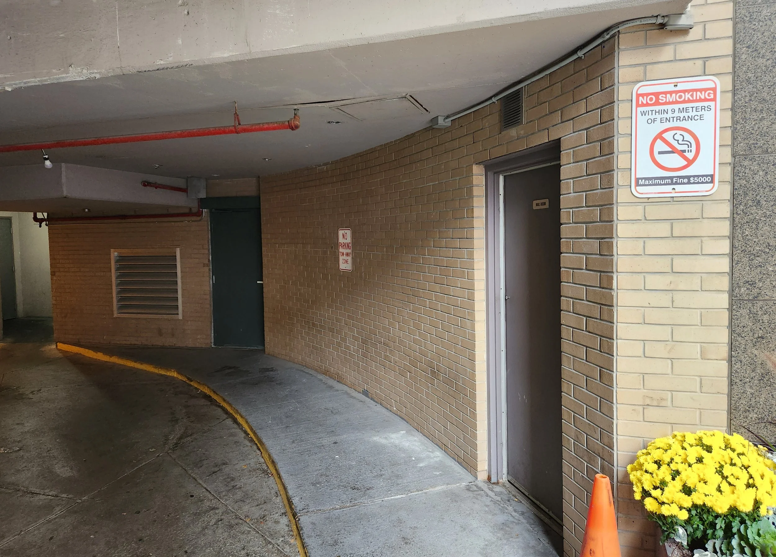 No smoking sign next to a brick wall, indicating no smoking within 9 meters of the entrance with a maximum fine of $5000. There is a door labeled 'Auditorium' and yellow flowers at the corner, with a bright orange traffic cone and a small section of yellow curb on the wet ground.
