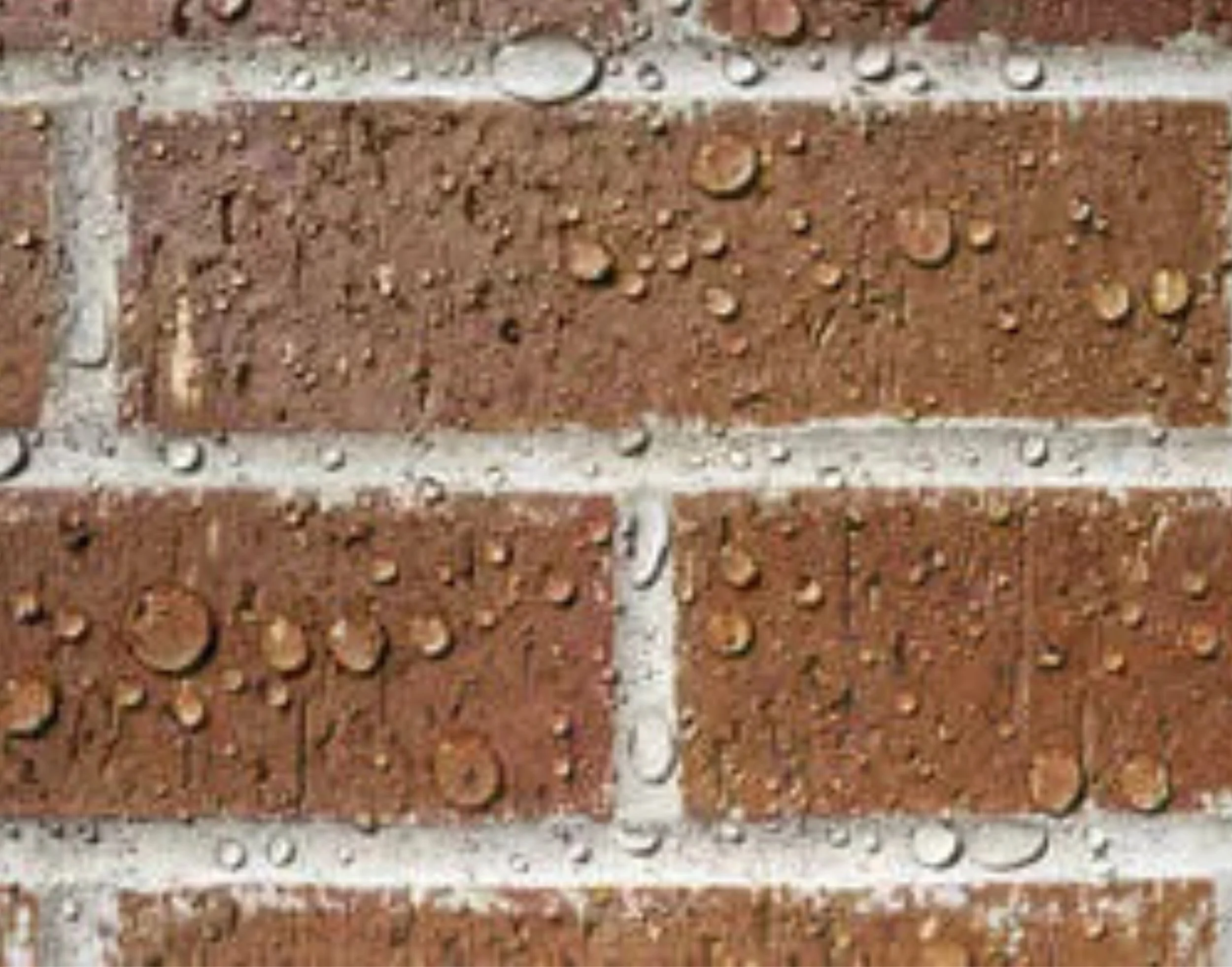 Water beading on treated brick after protective masonry treatment