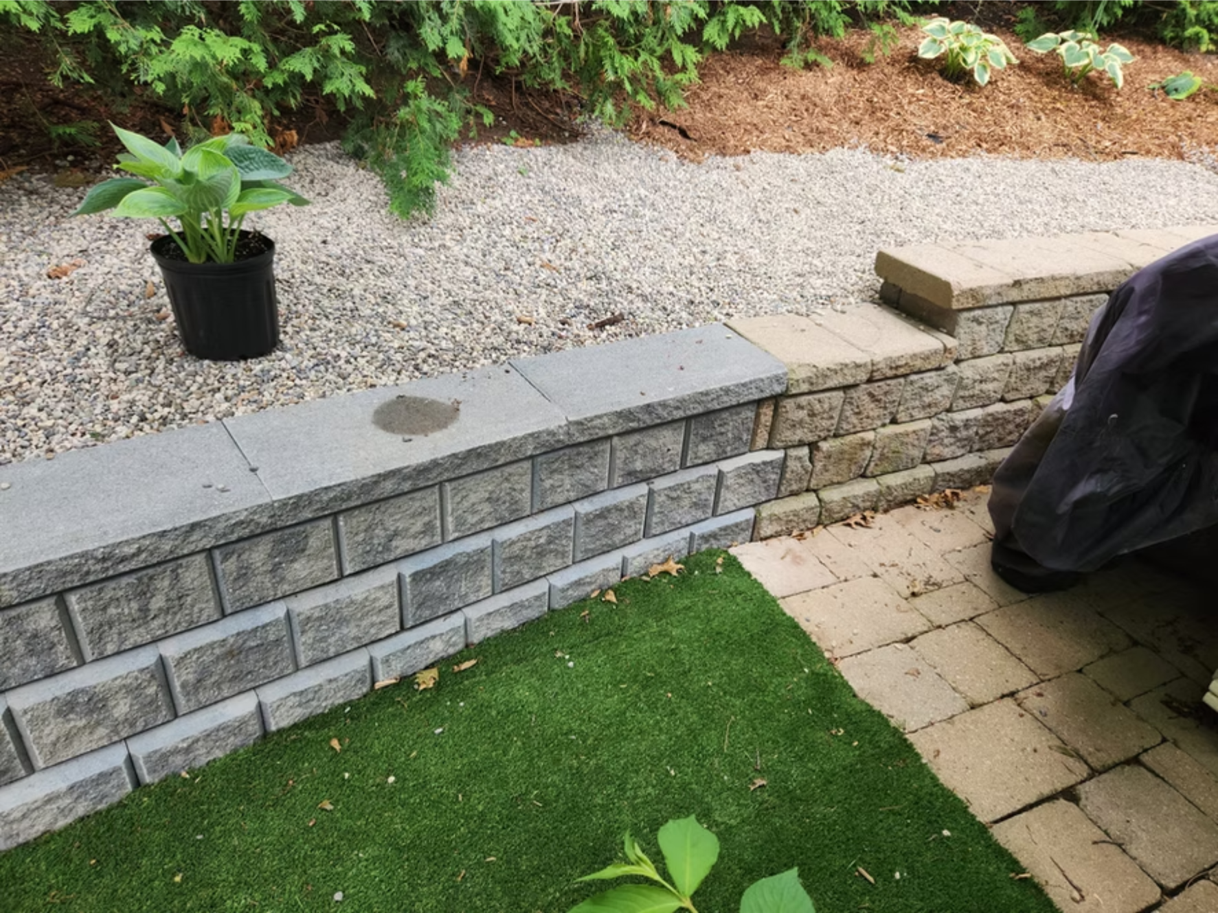 A small garden area with a black pot containing a green leafy plant, a gravel bed, a low stone wall, and a backdrop of bushes and other plants. Part of a covered object and paving stones are visible on the right.