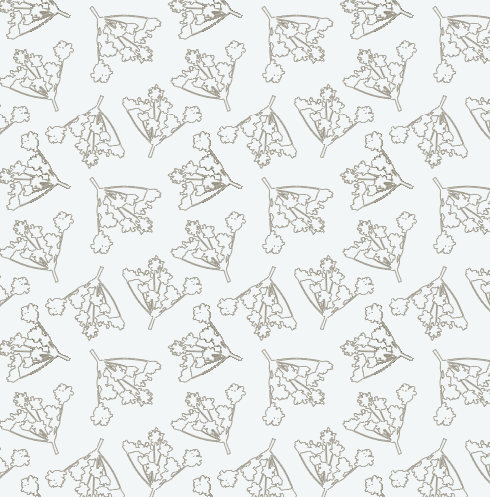 Flower outline cream background.png