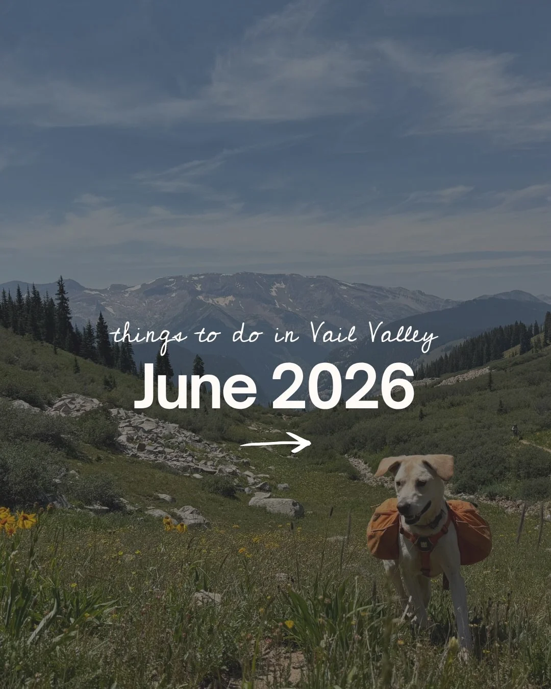 And just like that, summer in Vail has entered the chat ☀️🗻

Looking for things to do in Vail this June? There are so many fun events happening across the Vail Valley as we kick off summer. 

Swipe to see the full list and a brief market update.

Co