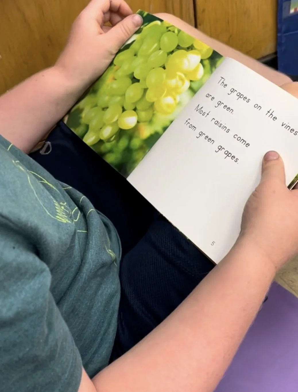 A child is holding an open book with a picture of green grapes on the left page and a poem about grapes on the right page.