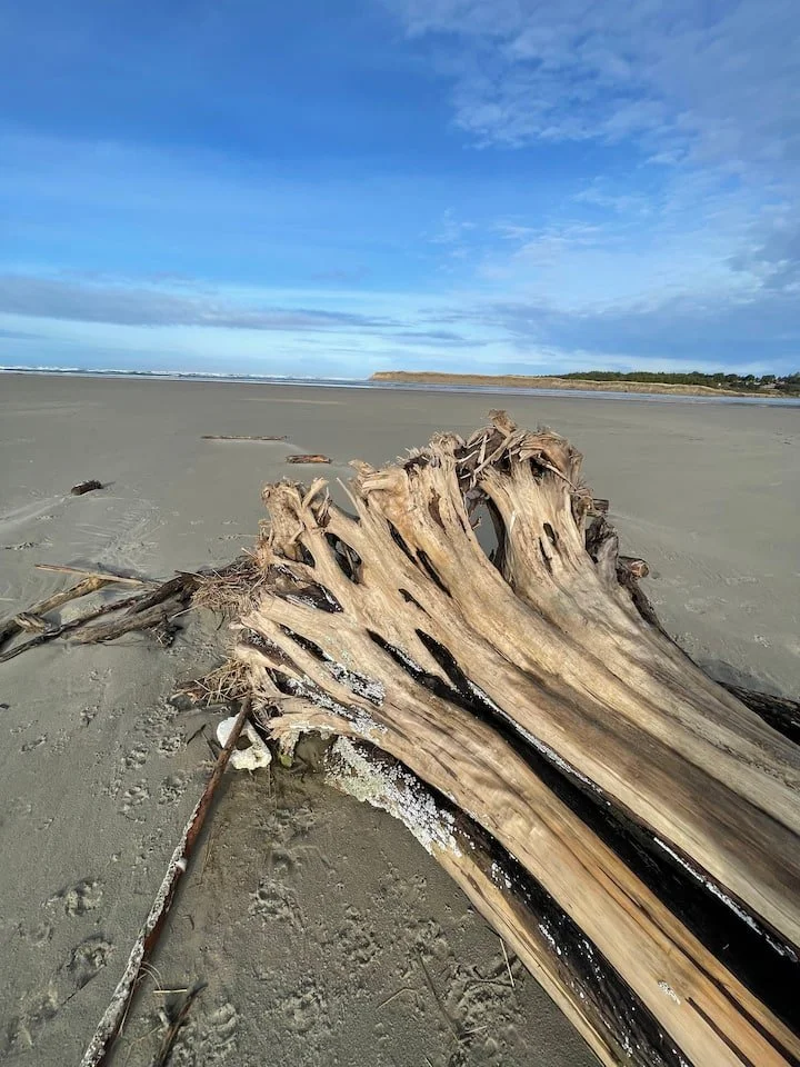 Seaside_Beachfront20.jpeg