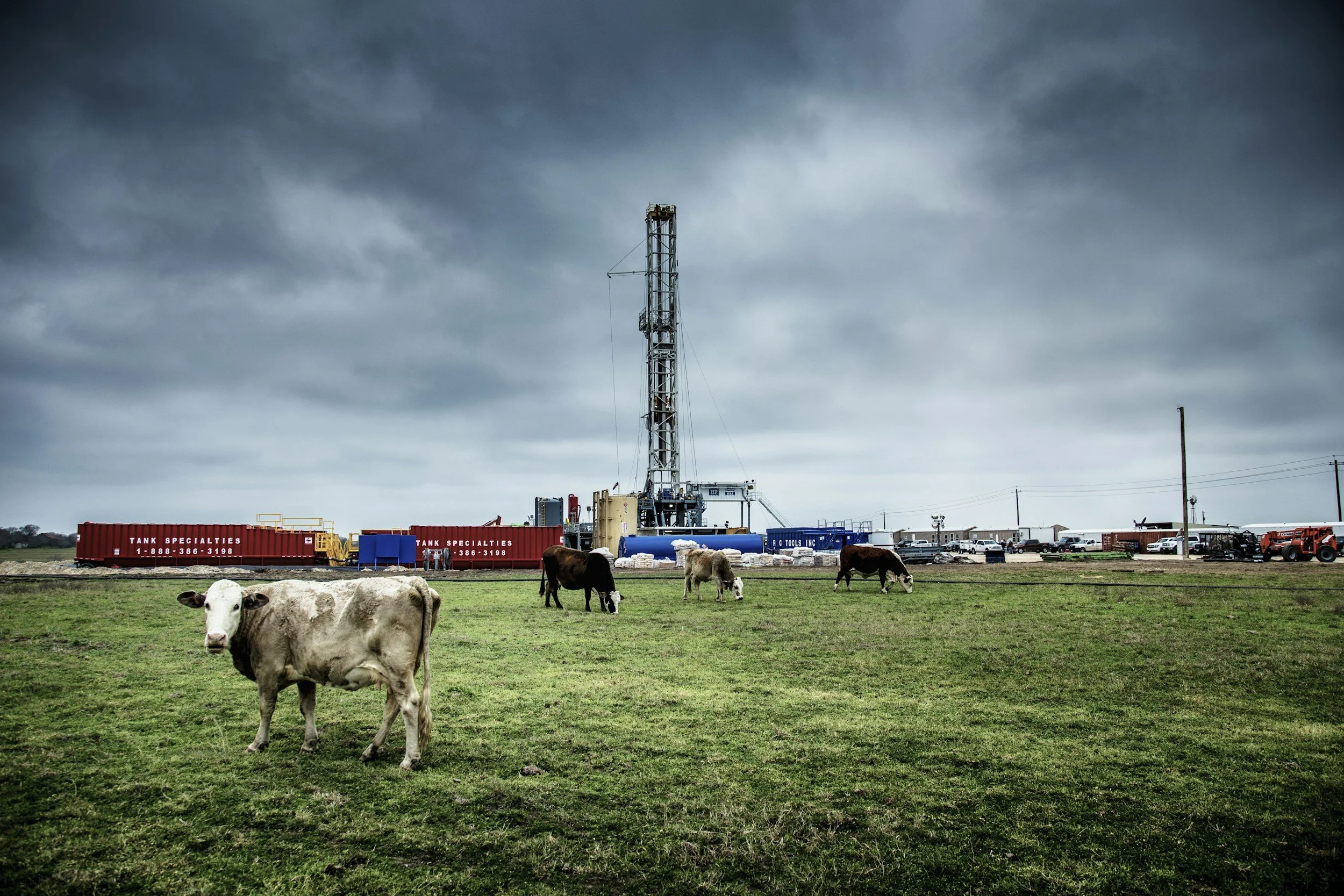Fracking Site with cows in the foreground.