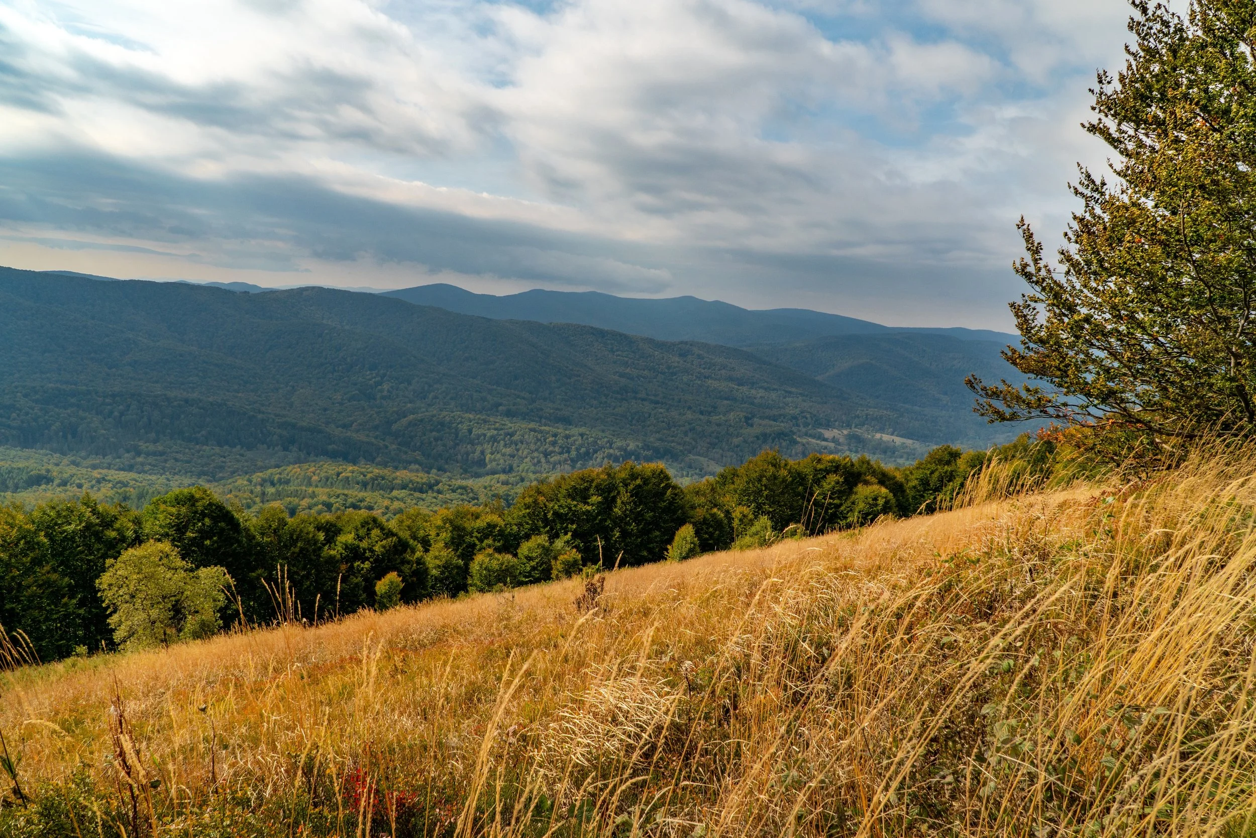 Beautiful Scenic Landscape View