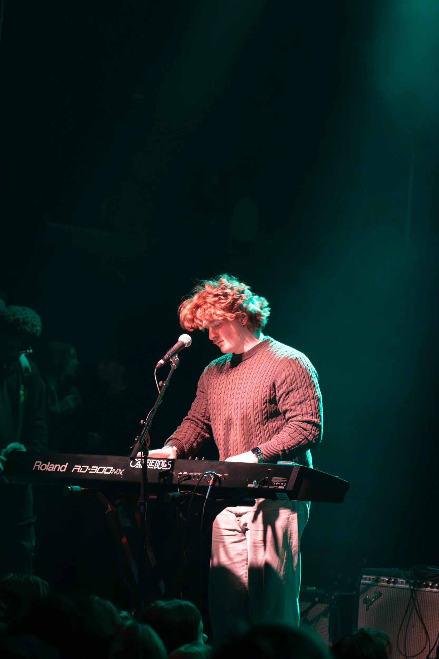 the cattledogs fox theatre boulder 2.jpg