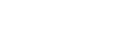 Non-Profit Business Strategist