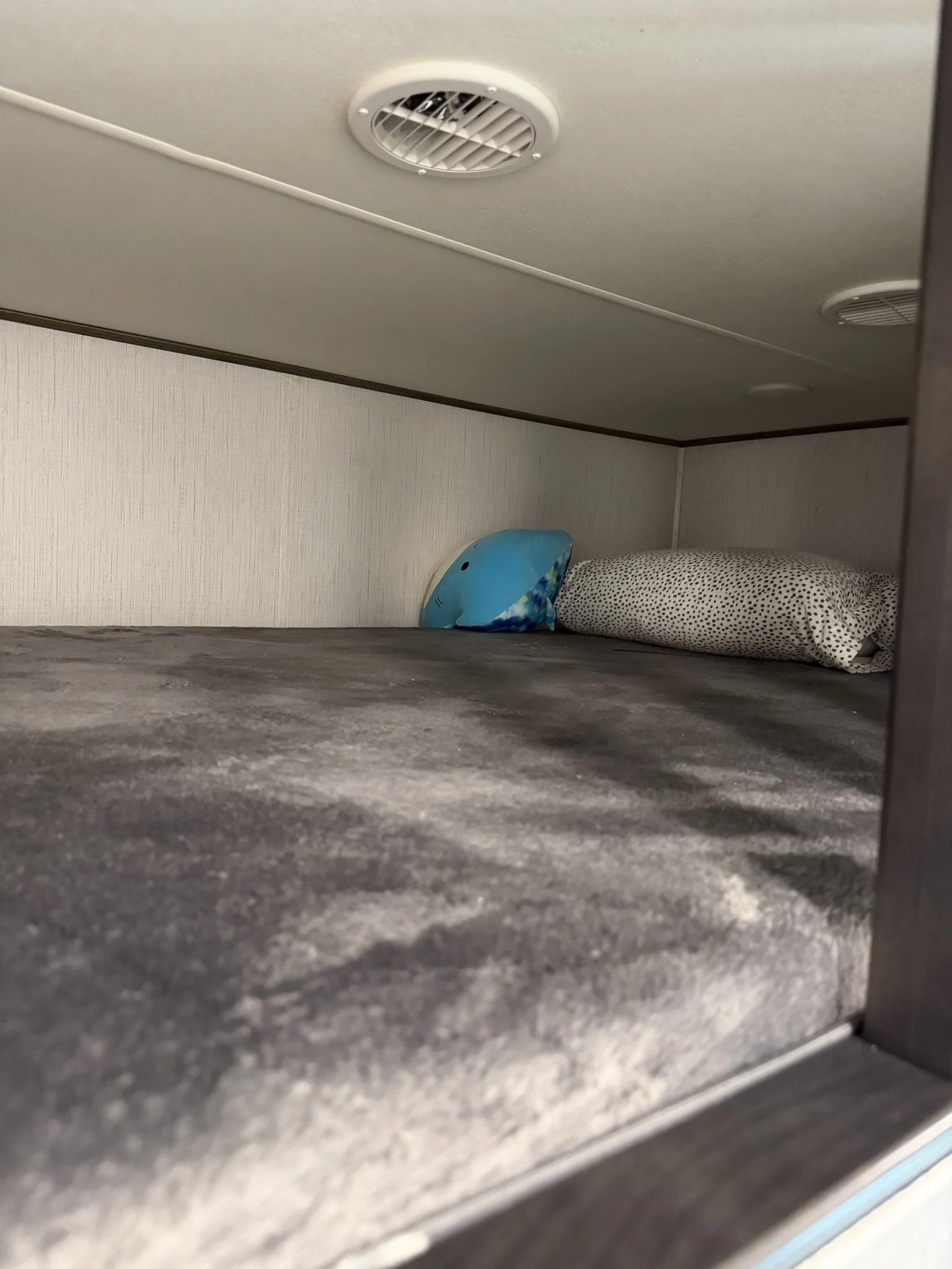 View of a microwave oven's interior with a pillow and a small inflatable pool float inside.