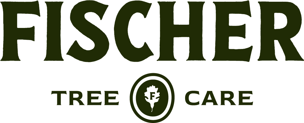 Fischer Tree Care in Minnesota