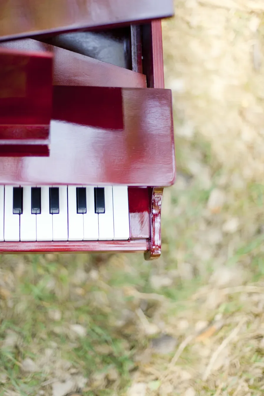Close-up of a miniature red piano keyboard with black and white keys, outdoors on grass.