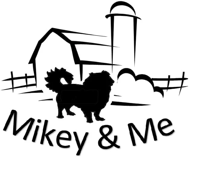 Mikey &amp; Me