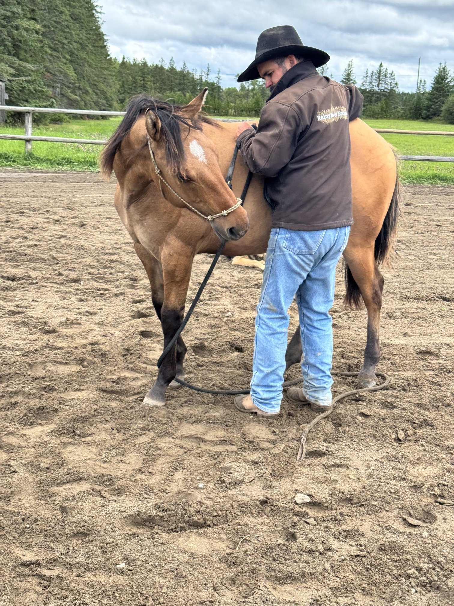 A man in a cowboy hat and brown jacket is standing next to a brown horse on a dirt surface, with a green field and trees in the background.
