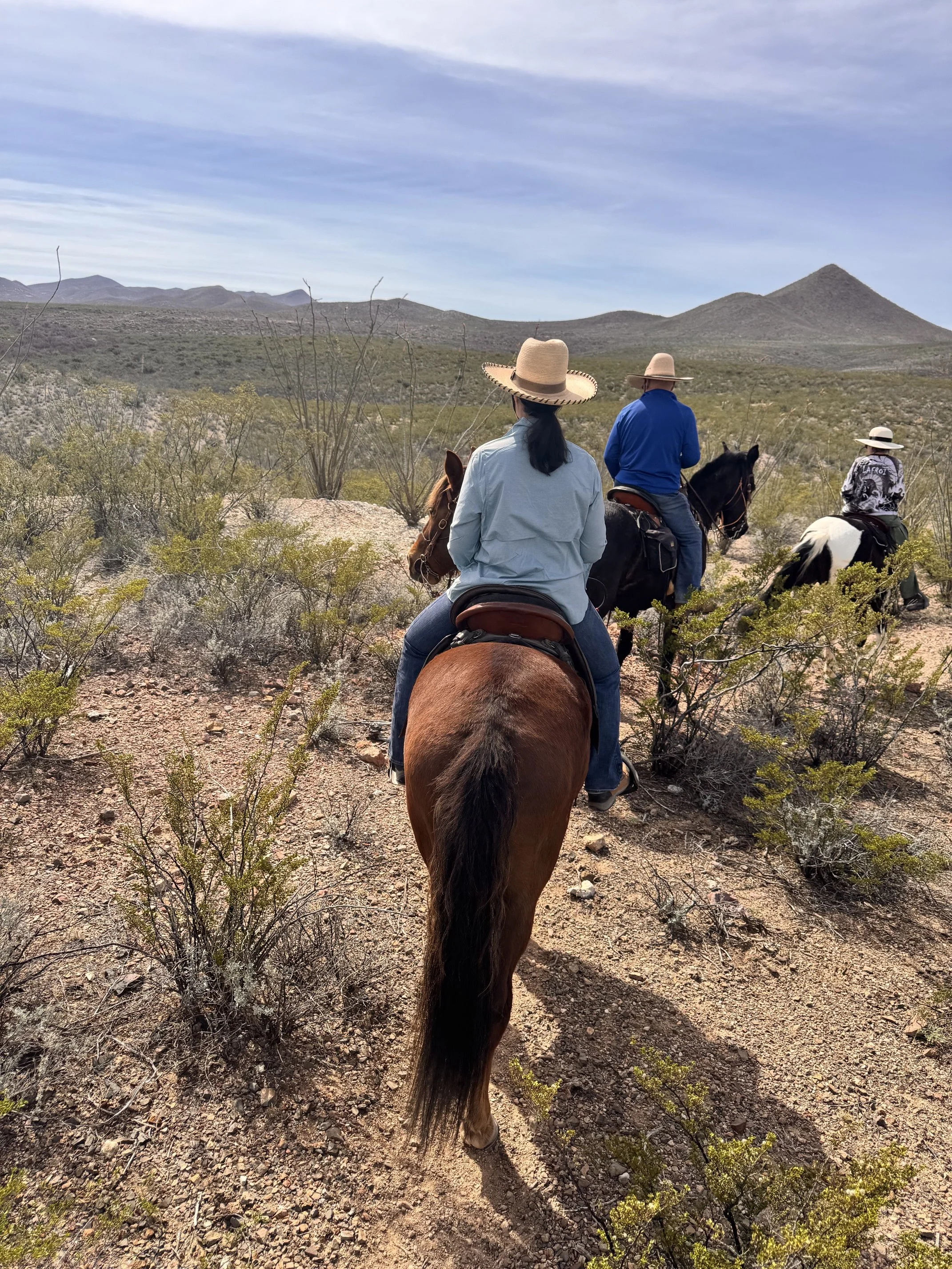 Three people horseback riding through a desert landscape with mountains in the background. They are wearing wide-brimmed hats and casual clothing. The terrain is arid with sparse shrubs and rocky ground.