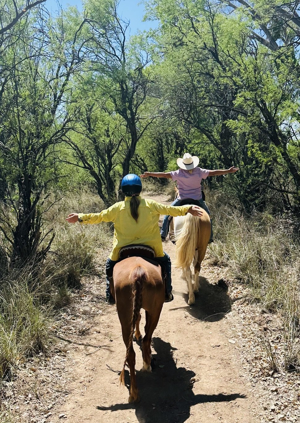 Two people riding horses along a dirt trail through a wooded area with green leafy trees and a clear blue sky.