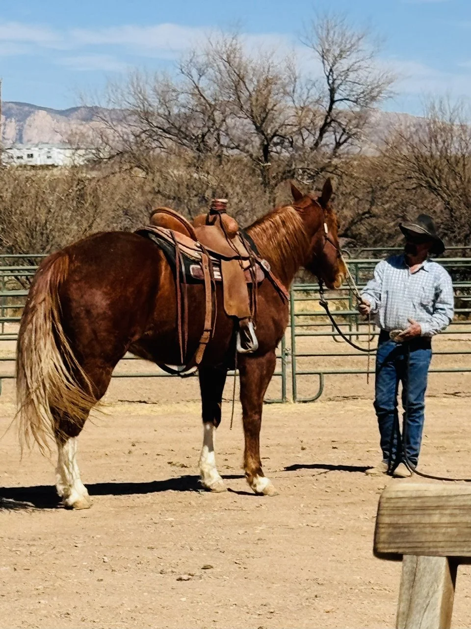 A man standing in a dirt area holding a lead rope attached to a brown horse with a saddle and bridle, trees with bare branches in the background, and mountains in the distance.