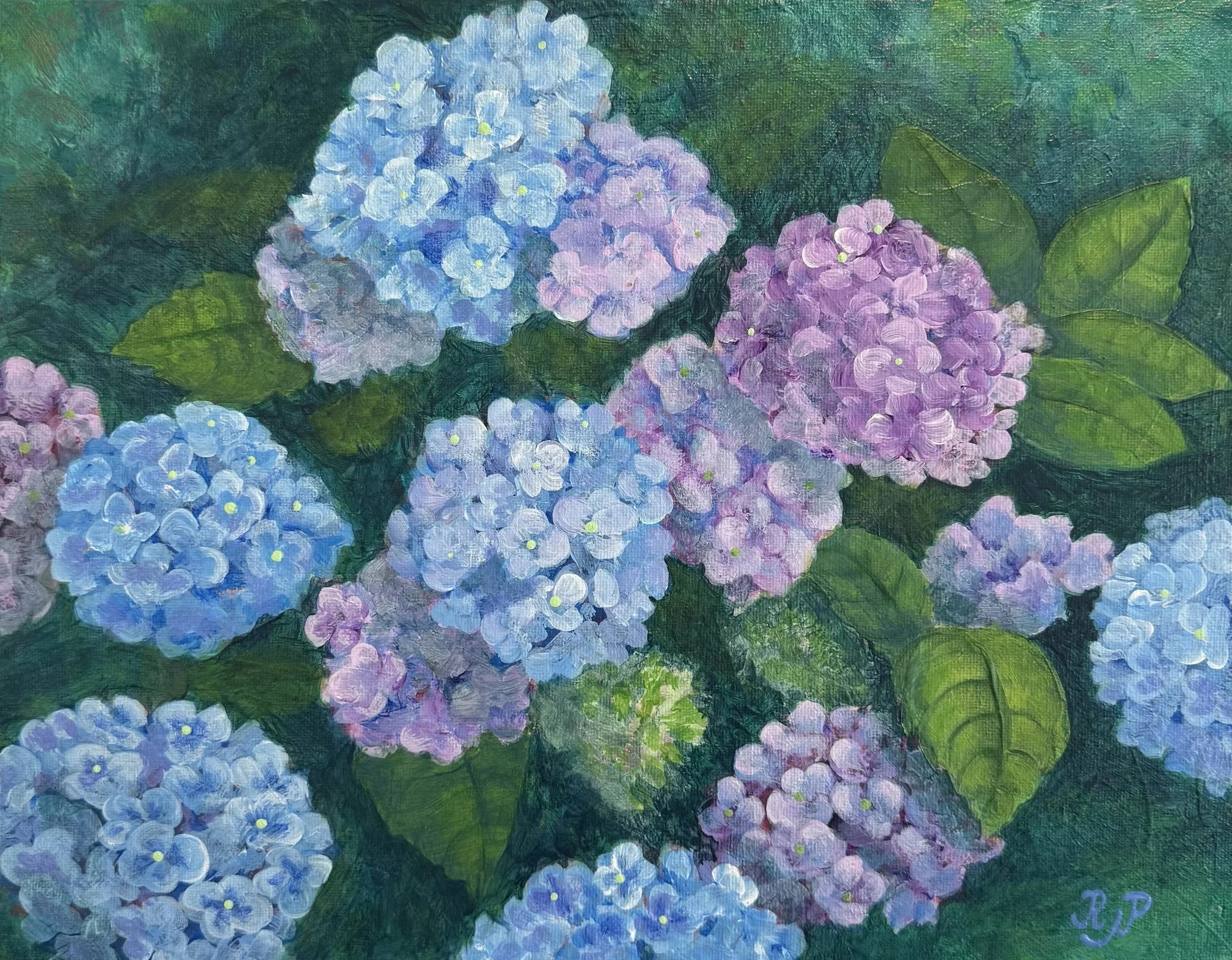Imagining Hydrangeas, 2026, Acrylic on Canvas, 14x11, $250