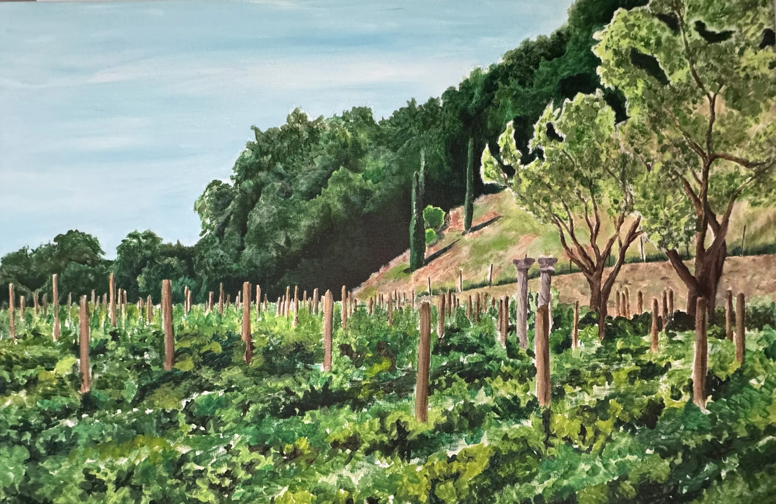 Napa Sunny Day, 2016, Acrylic on Canvas, 36x24