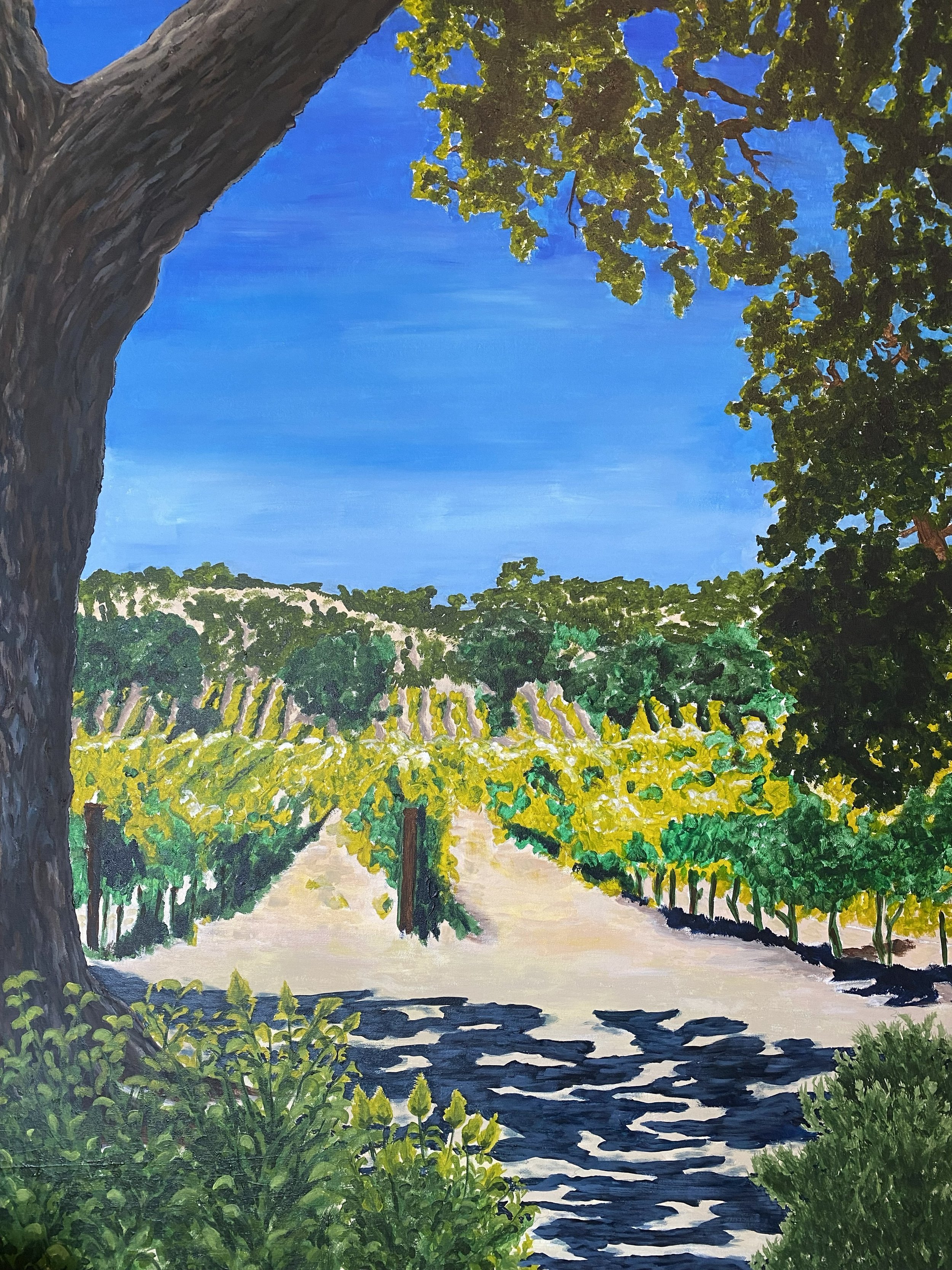 Vineyard in Paso Robles, 2022, Acrylic on Canvas, 36x48, $750
