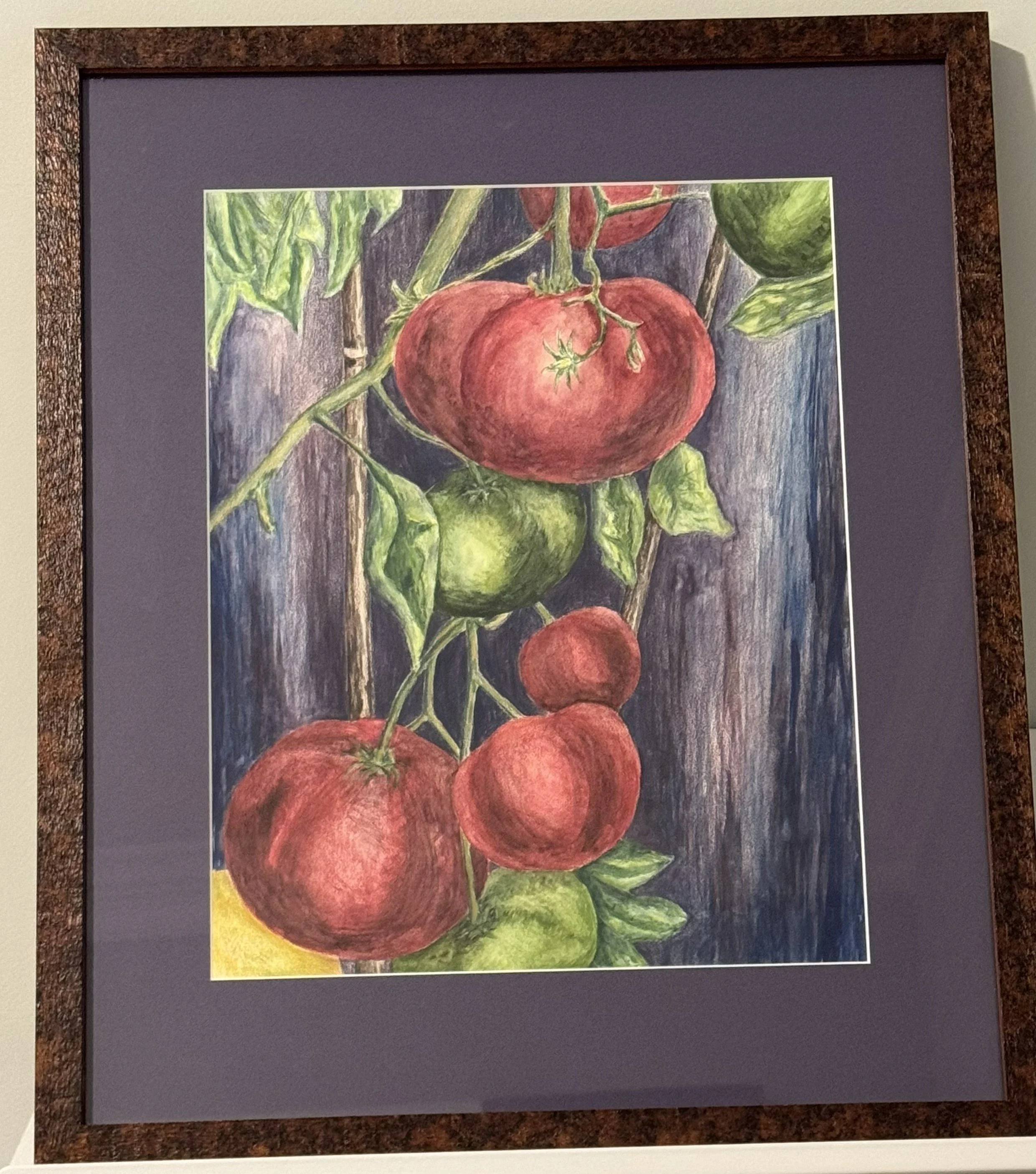 Ripe Tomatoes, Prior 2000, Colored Pencil on Board, 11x14, $675