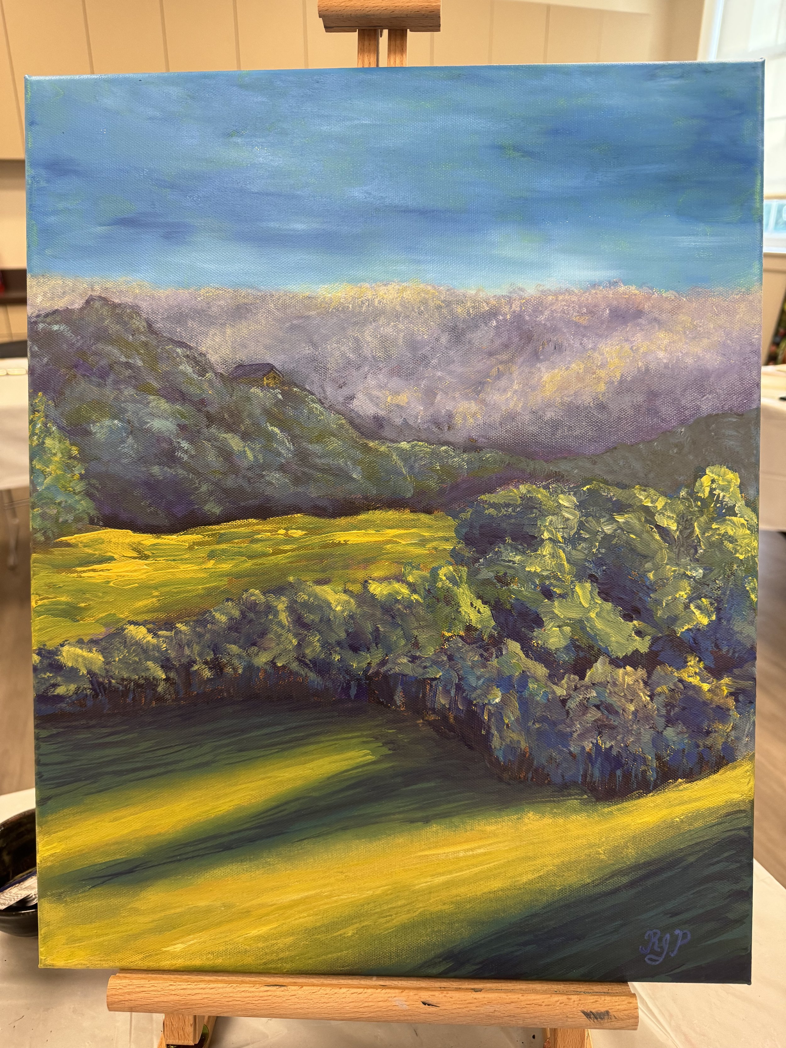 September Shadows, 2026, 16 x 20 Acrylic on Canvas $250, Framed in Gold and Black.  Inspiration:  View from Pigeon Roost Road in Banner Elk, NC