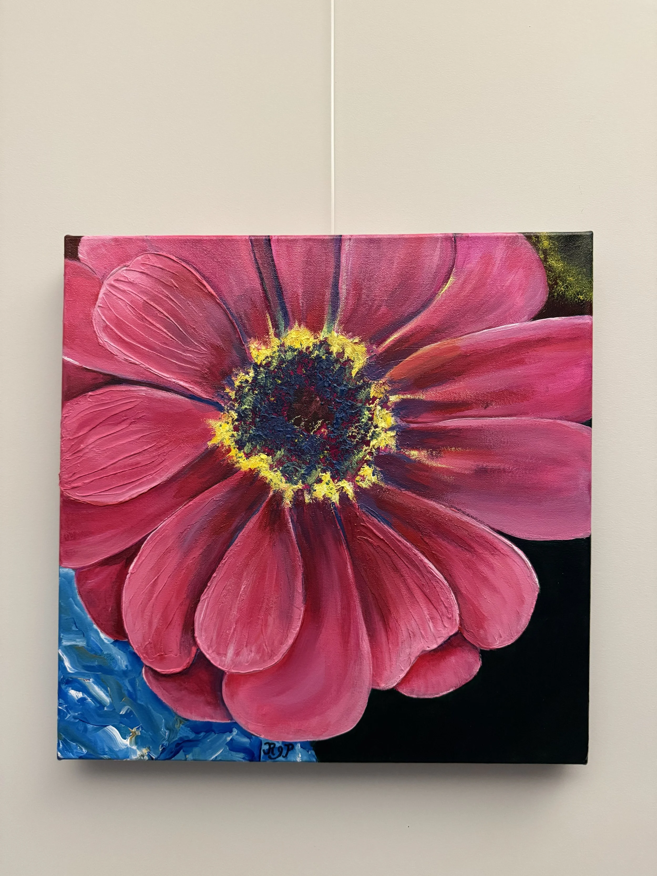 Zinnia Series 1 Pink, Acrylic and Texture medium on canvas, 16x16