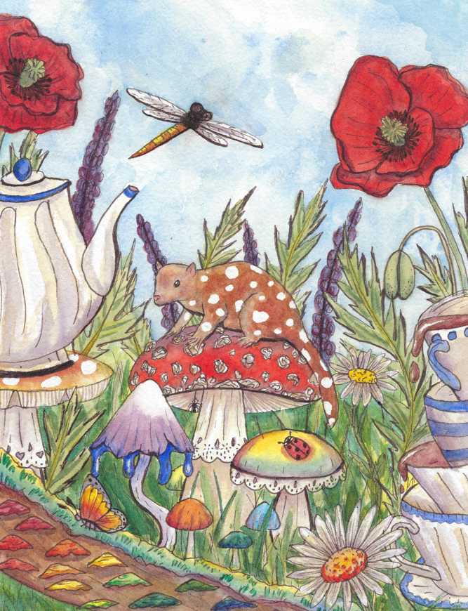 Quoll in Wonderland Illustration Art Print