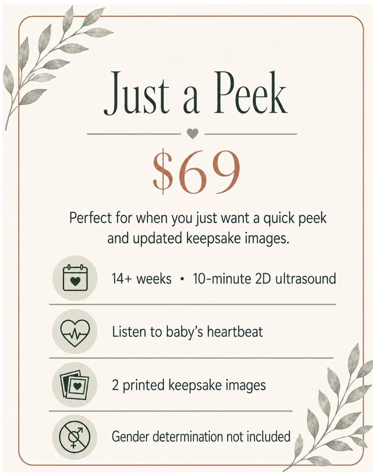 Just A Peek $69 keepsake 2D ultrasound package at The Little Peek Boutique in Auburn, MA.