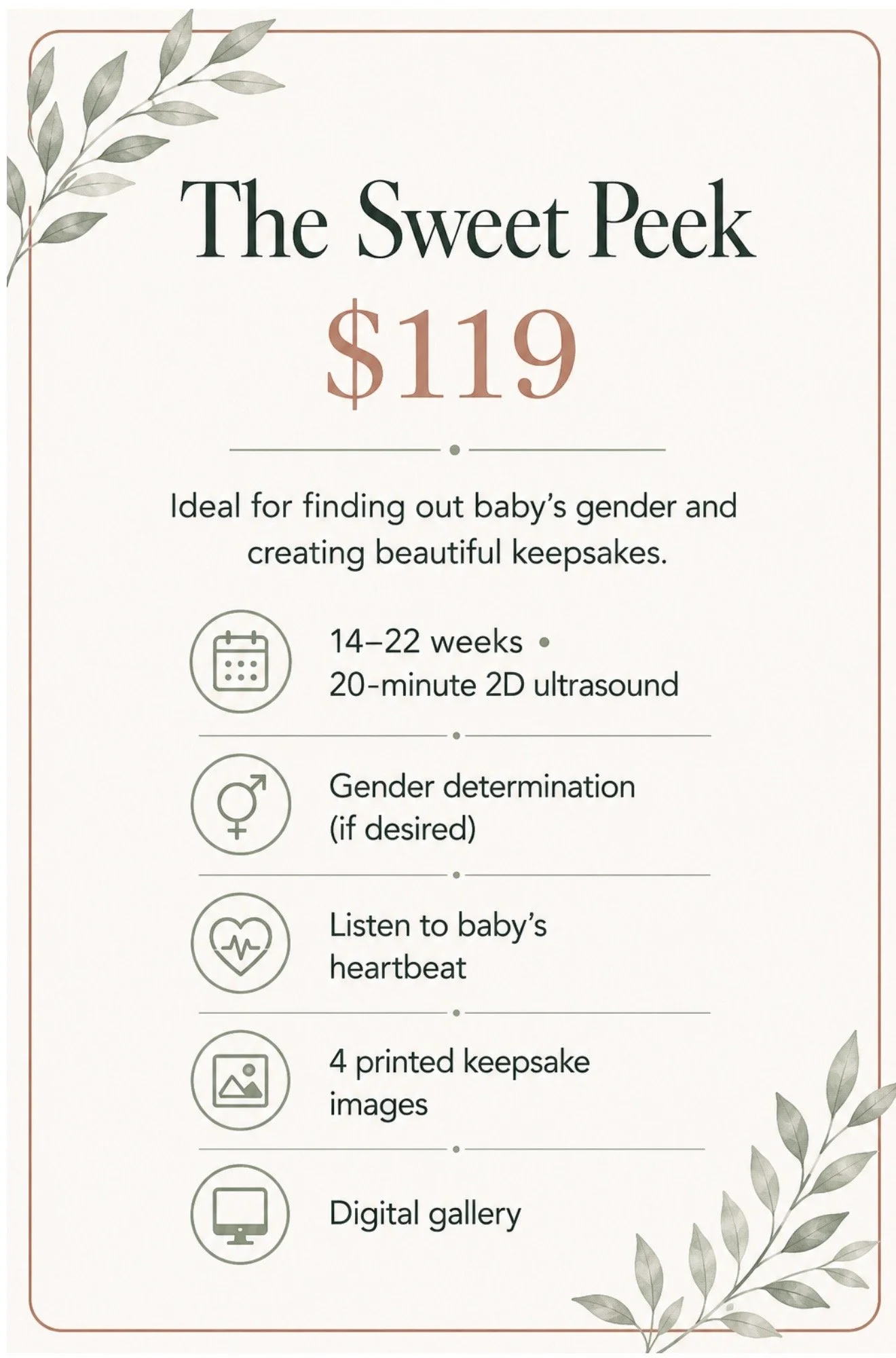 Product label titled "The Sweet Peek" with a price of $119, featuring information about gender and heartbeat checks for babies, and including icons for calendar, heartbeat, images, and digital gallery.