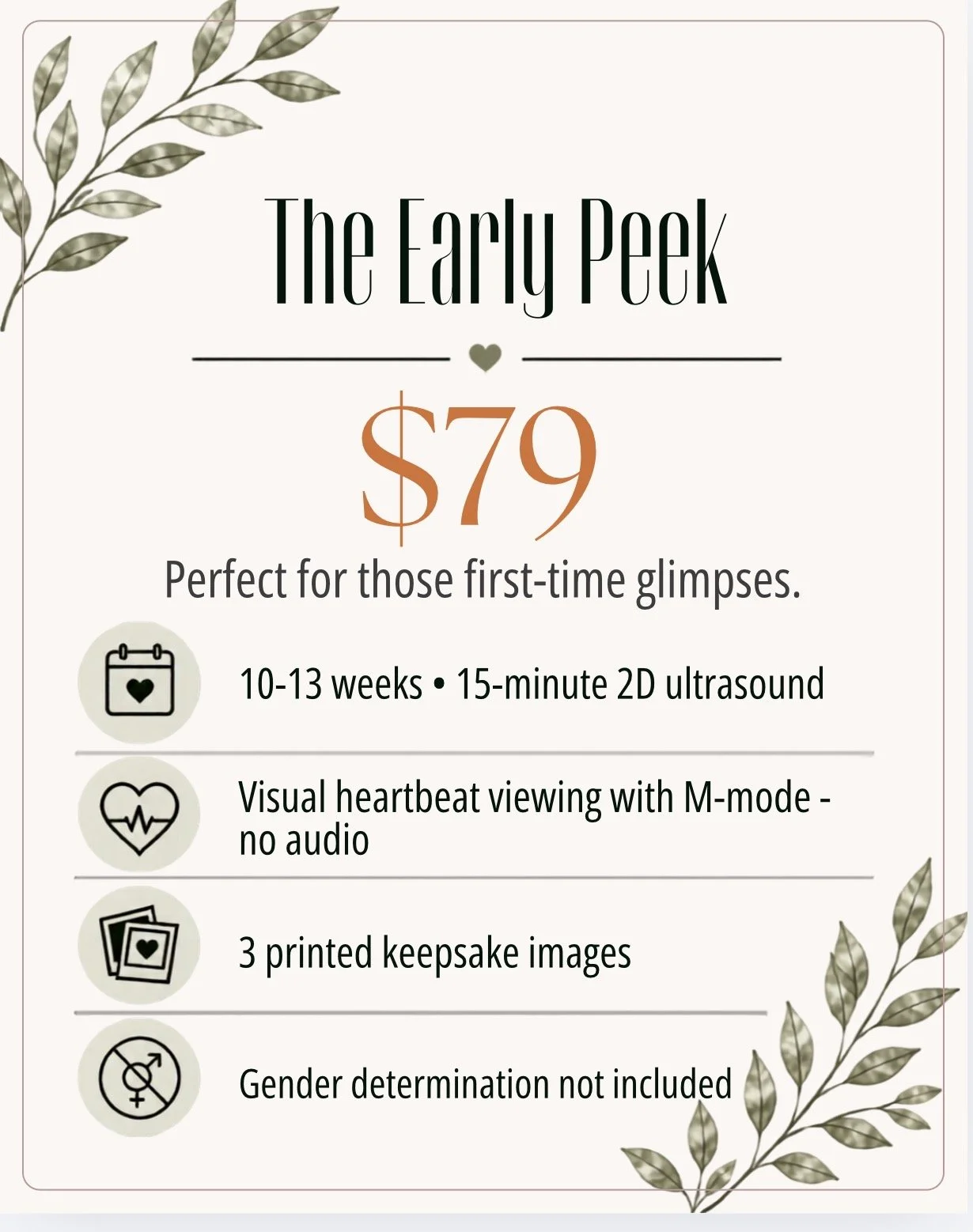 The Early Peek $79 package at The Little Peek Boutique in Auburn, MA. A 15-minute 2D keepsake ultrasound experience for pregnancies between 10 and 13 weeks.