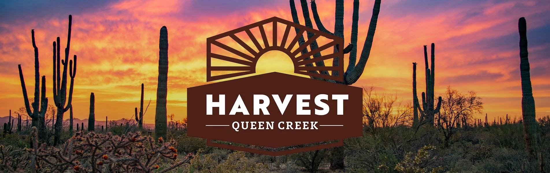 HomeCare+ Harvest QC Residents - LIMITED