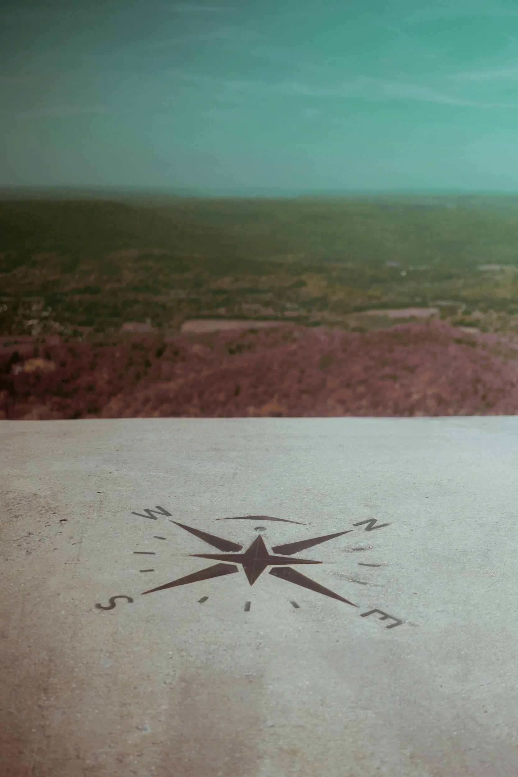 A compass to symbolize the support Advance Law NW will provide to set your organization on the right path forward.