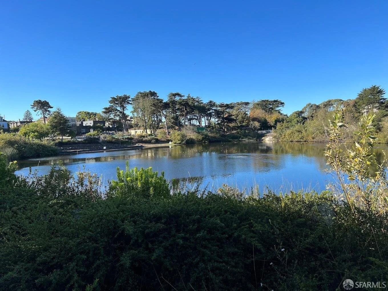 A calm lake surrounded by greenery and trees under a clear blue sky.