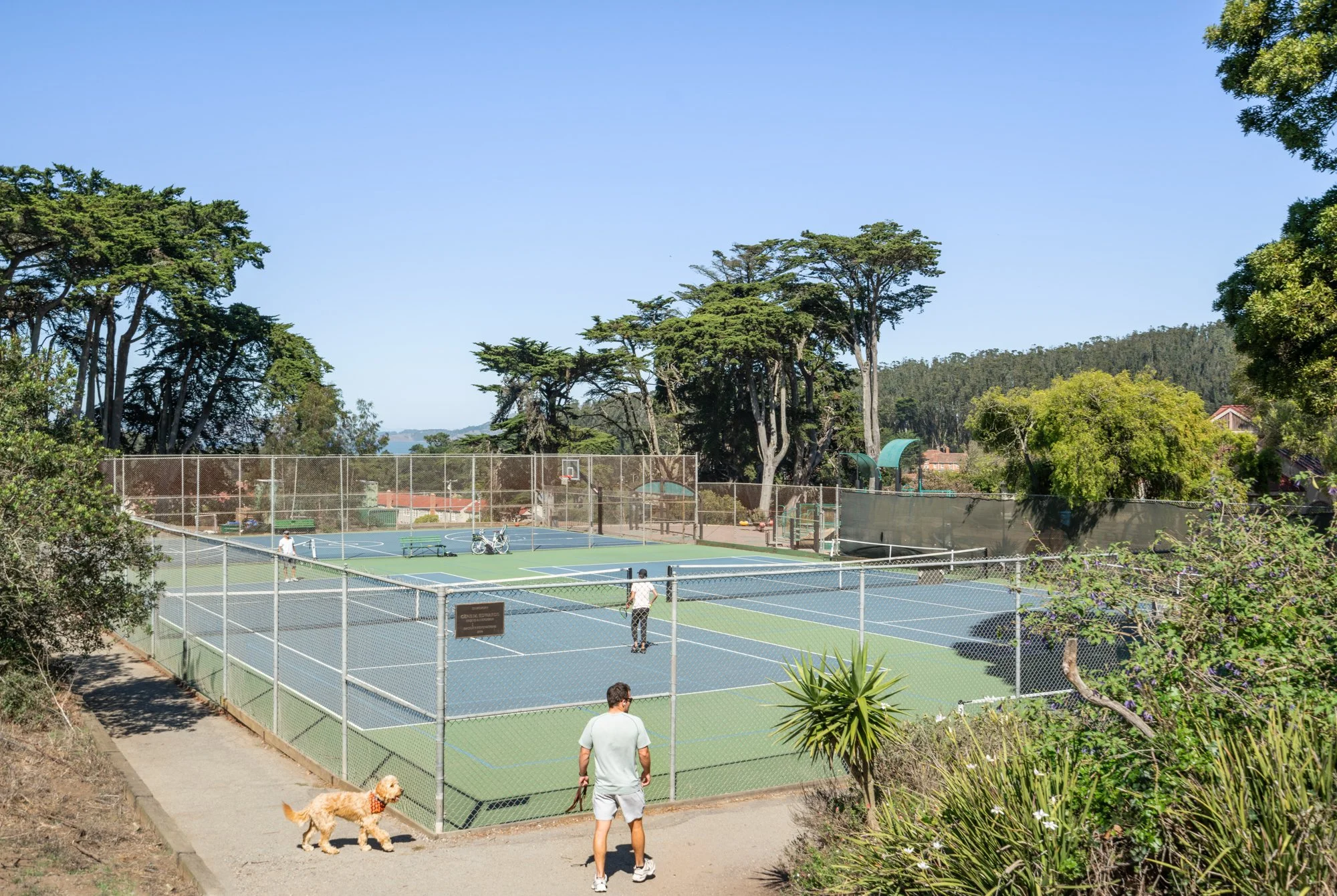 People playing tennis on outdoor courts surrounded by trees and blue sky.