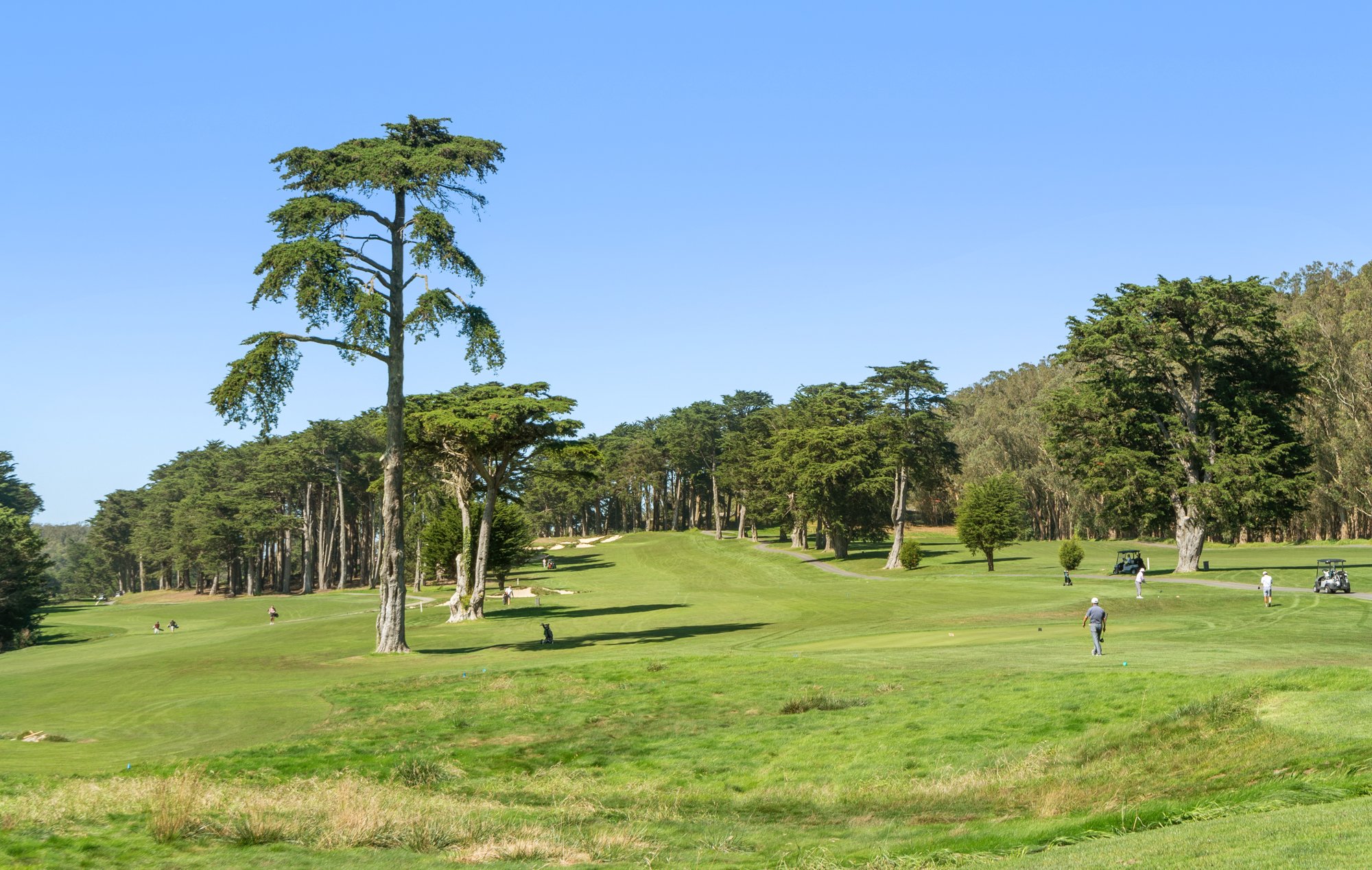 A golf course with players playing, surrounded by trees and a clear blue sky.