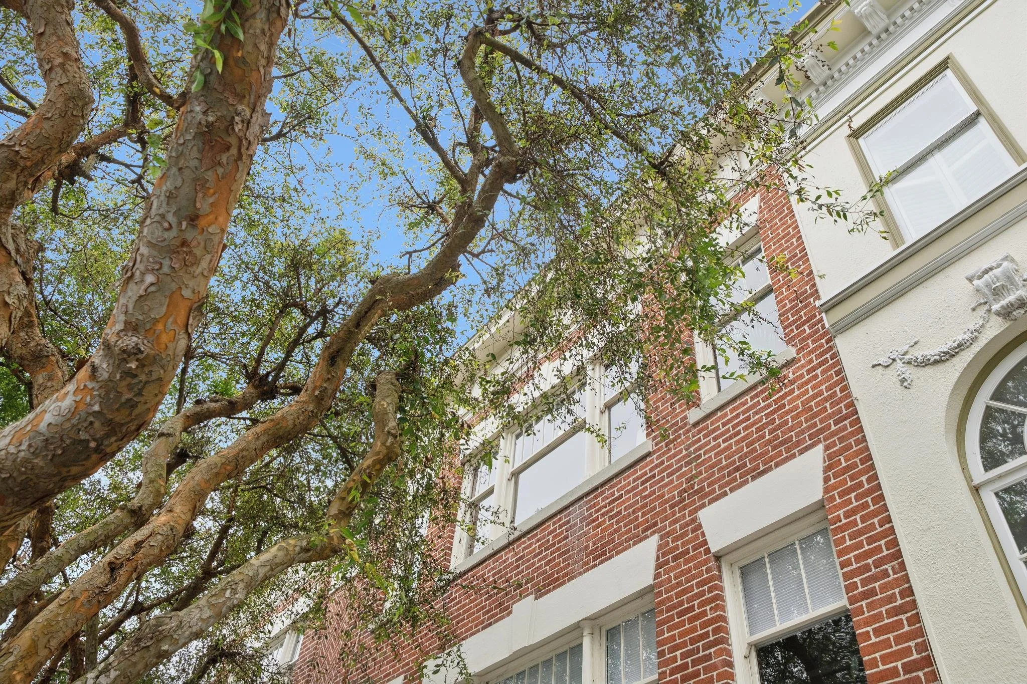 Looking up at a multi-story brick and white house with a tree overhead, showing blue sky and branches with green leaves.