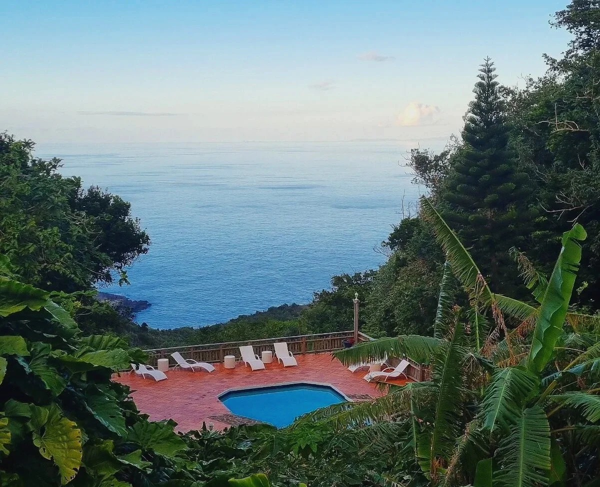 Pool on a red deck overlooking the ocean, surrounded by lush green tropical trees and plants.