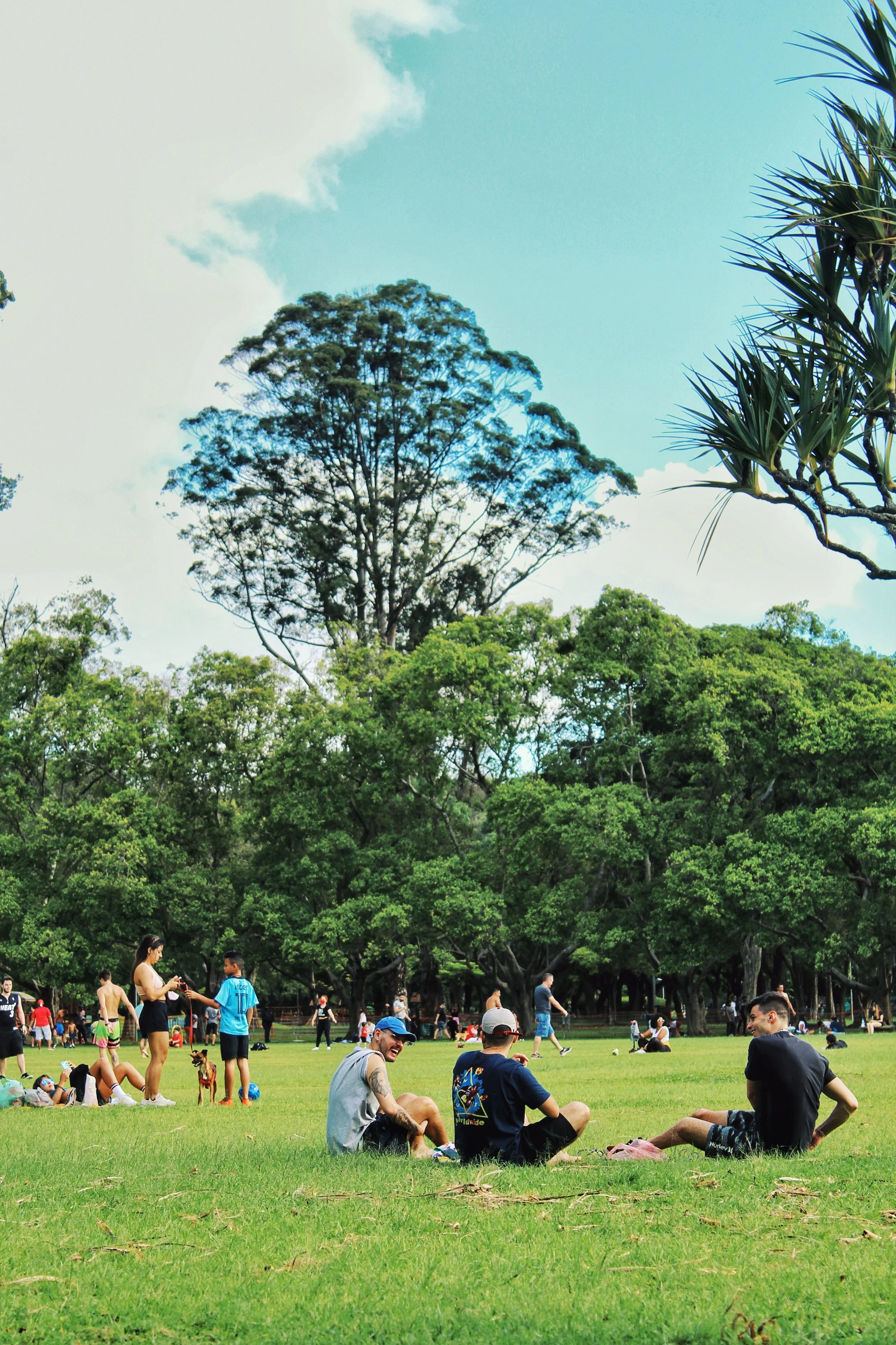 People relaxing and socializing on a lush green park with large trees and a blue sky with clouds overhead.