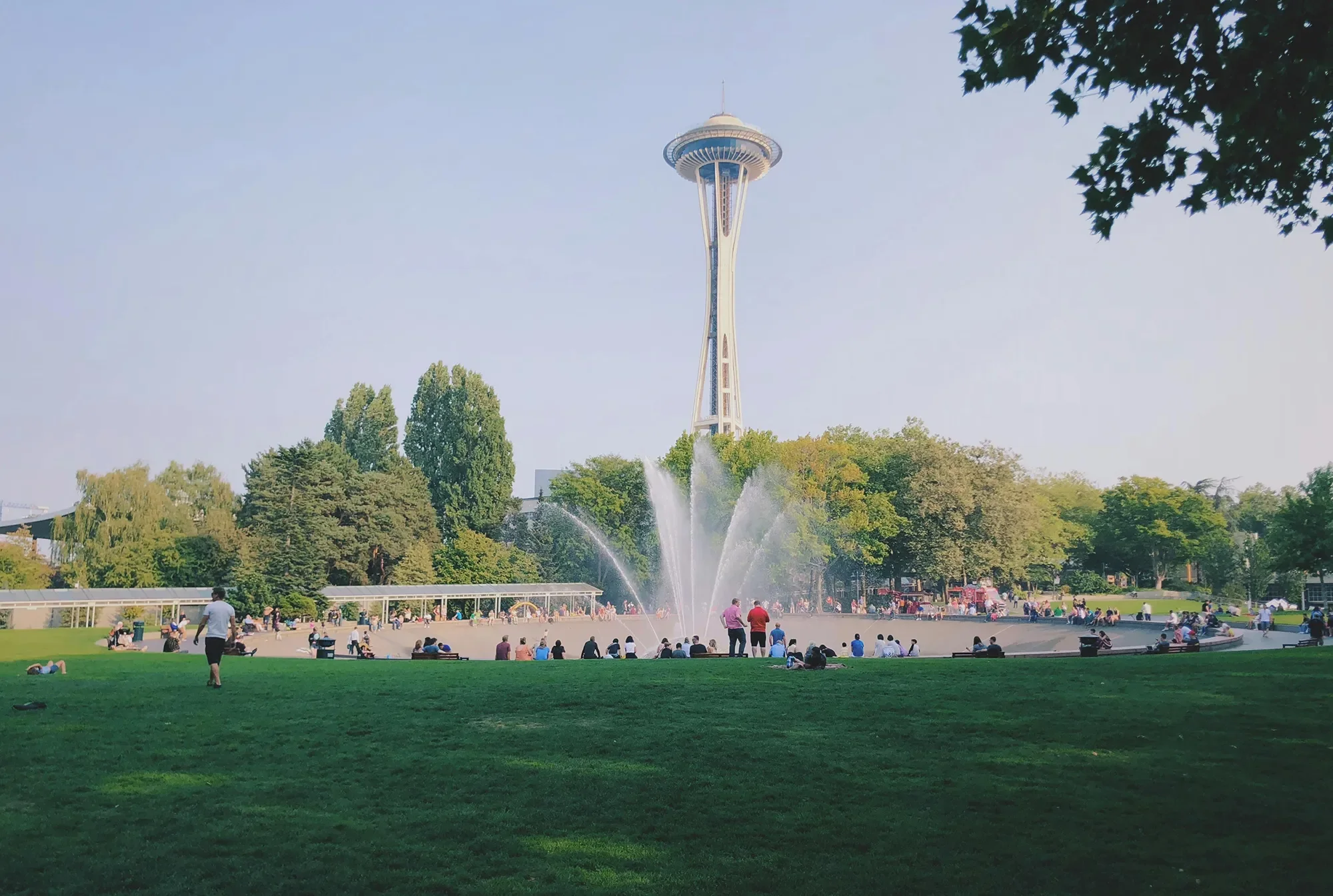 People sitting and walking around a grassy park with a fountain, trees, and the Space Needle in the background under a clear sky.