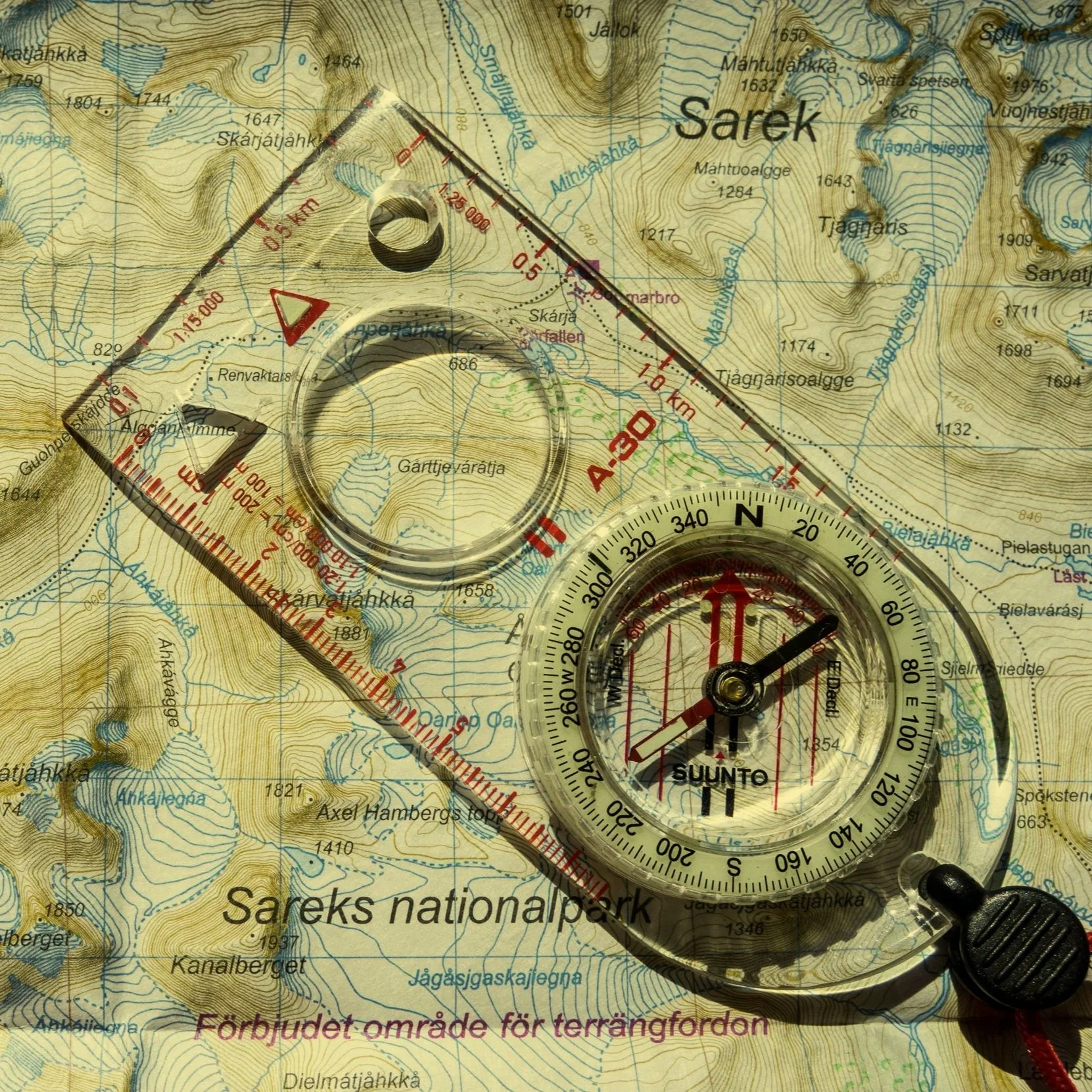 Looking in both directions