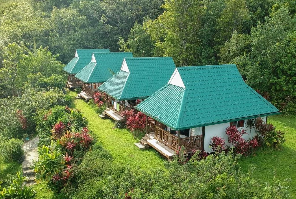 Quatre petites maisons en bois avec toits verts, entourées de végétation luxuriante et de plantes colorées, dans un environnement naturel.