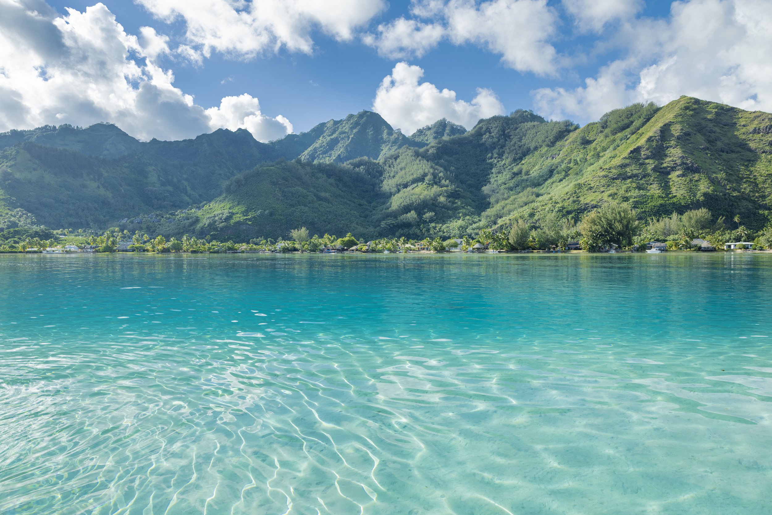 Paysage de montagnes verdoyantes au bord d'un lac turquoise avec un ciel bleu et quelques nuages.