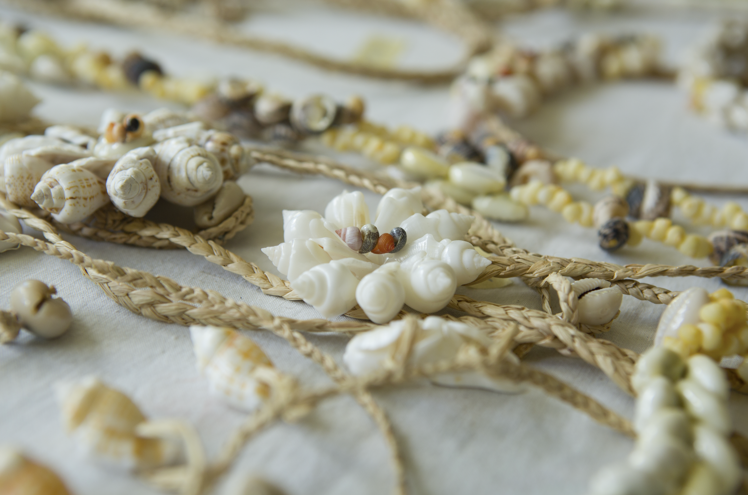 Le coquillage dans la culture polynésienne : traditions et savoir-faire.