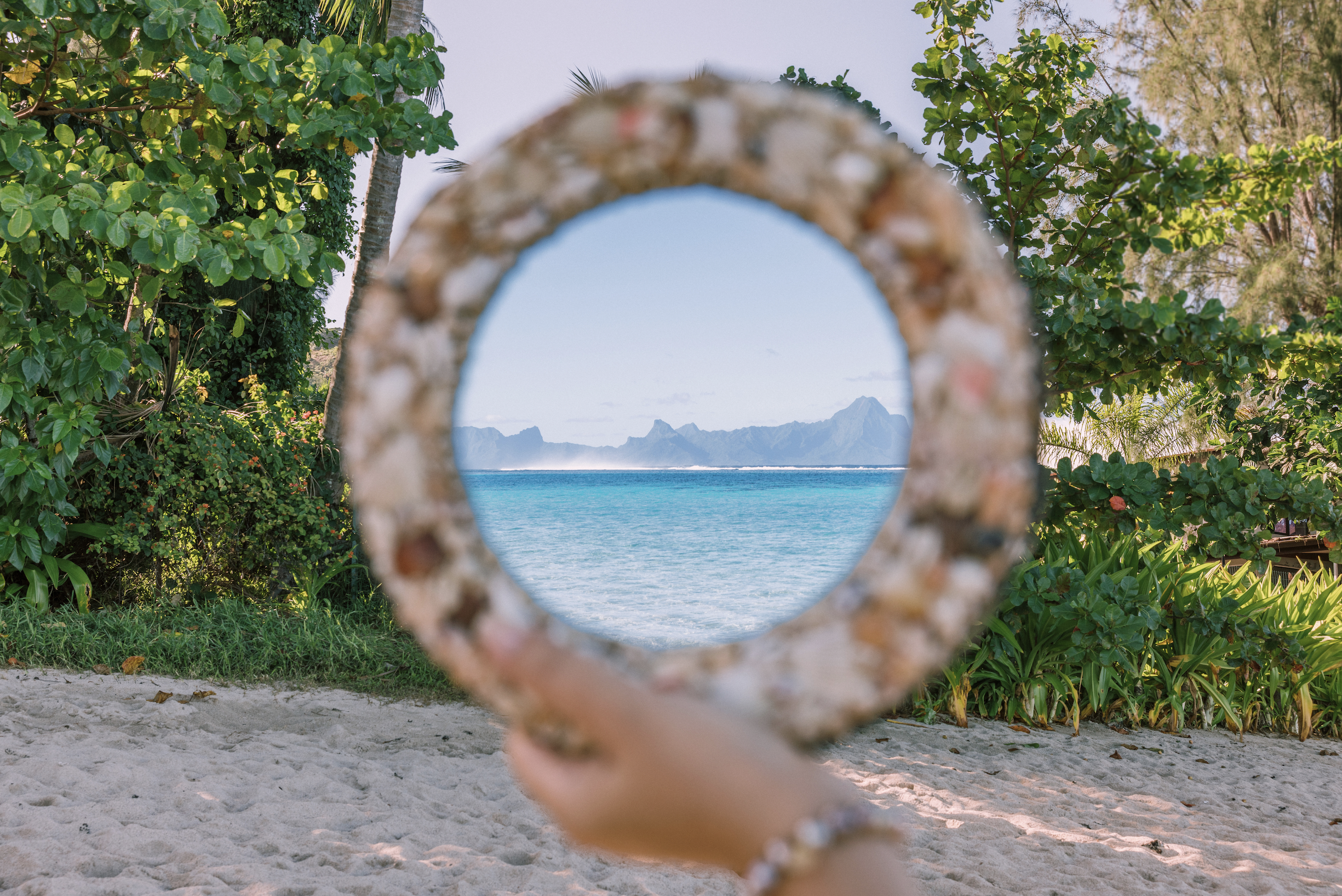 S'émerveiller : quand l'île se souvient de vous