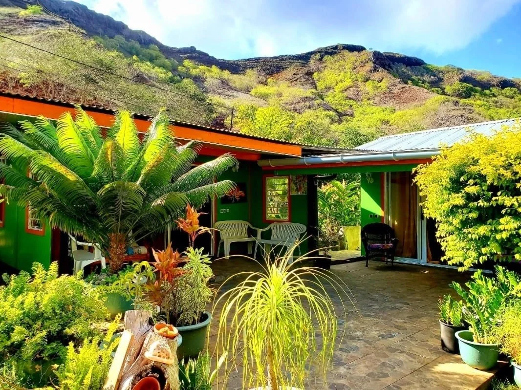Cour intérieure avec divers plantes vertes, un meuble en plastique blanc, et une maison colorée en vert avec un toit en métal, entouré par des montagnes en arrière-plan.