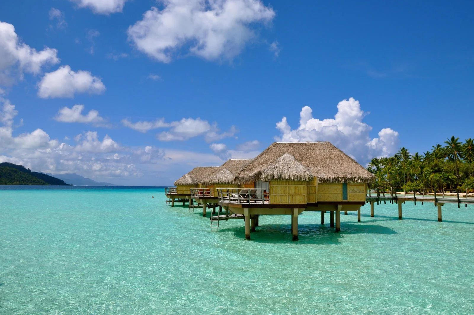 Bungalows en bord de mer avec eau turquoise, plage de sable, palmier, ciel bleu avec quelques nuages, île en arrière-plan.